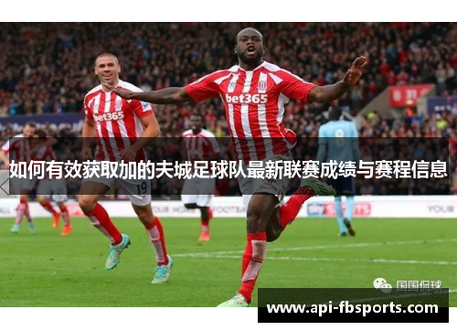 如何有效获取加的夫城足球队最新联赛成绩与赛程信息